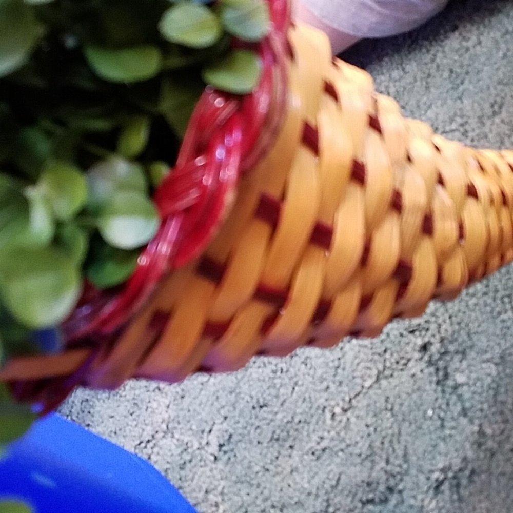 Cornucopia with Greenery - Picture 7 of 12
